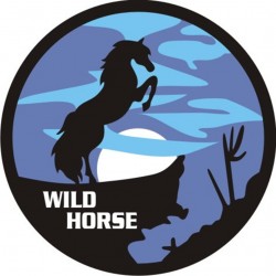 Capa Estepe Cavalo Azul Universal